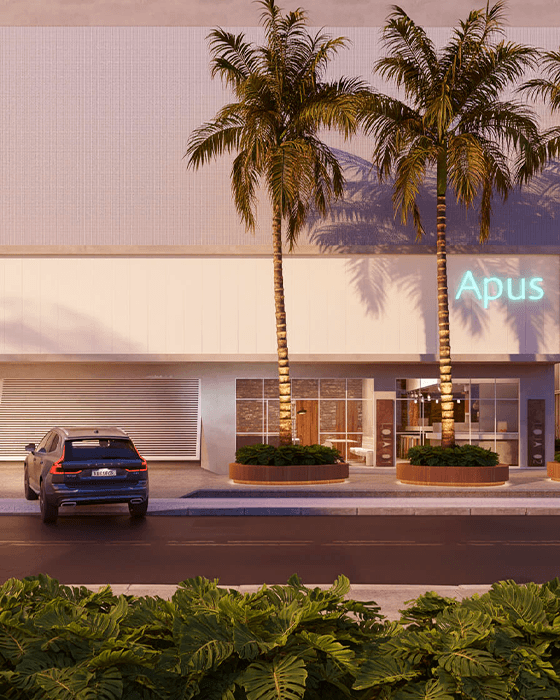 Apus_Camera003_Dawn